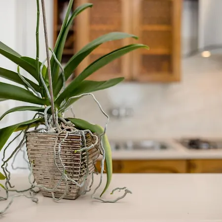 Apartmán Davorka Kampor