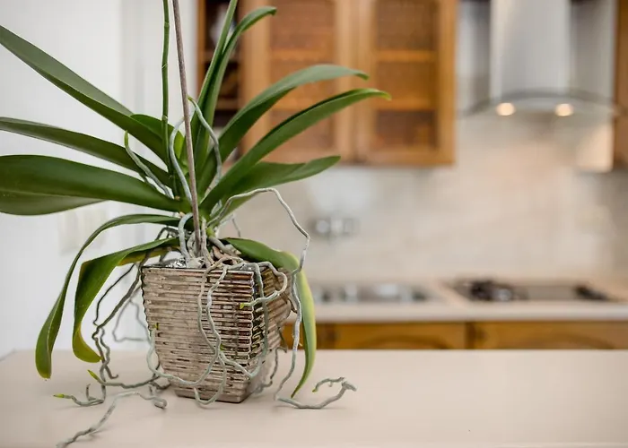 Apartament Davorka Kampor